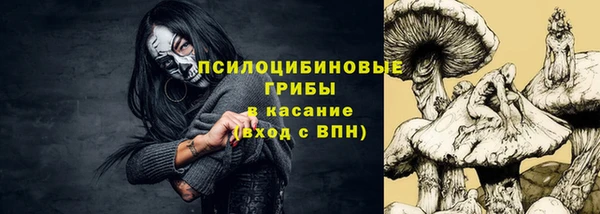 соль ск Зерноград