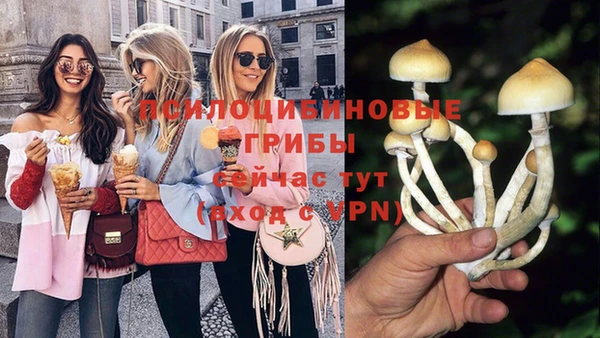 спиды Зеленодольск