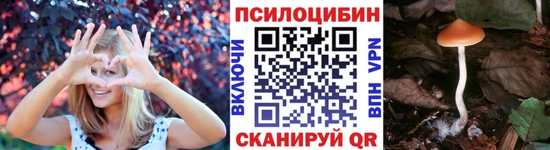 Псилоцибиновые грибы Psilocybine cubensis  Купить где  Междуреченск 